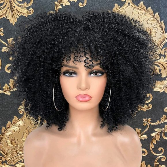 Afro Kinky Curly Wig - Picture 1 of 2